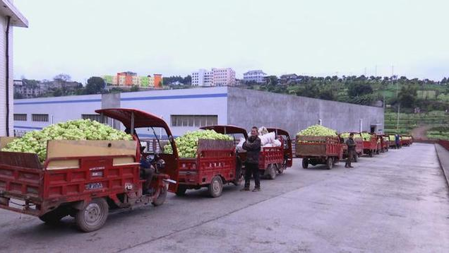 GA黄金甲(中国游)最新官方网站