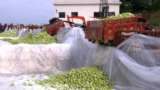 GA黄金甲(中国游)最新官方网站