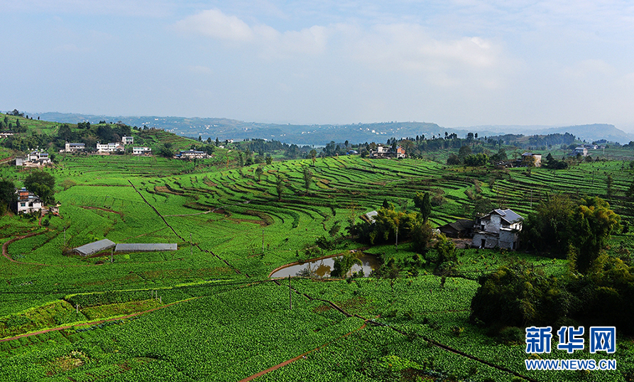 GA黄金甲(中国游)最新官方网站