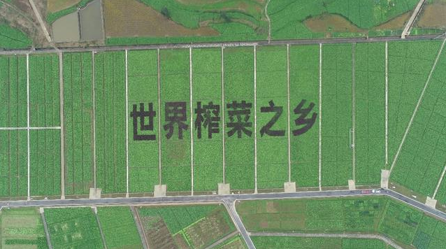 GA黄金甲(中国游)最新官方网站