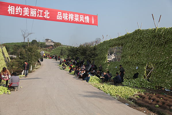 GA黄金甲(中国游)最新官方网站