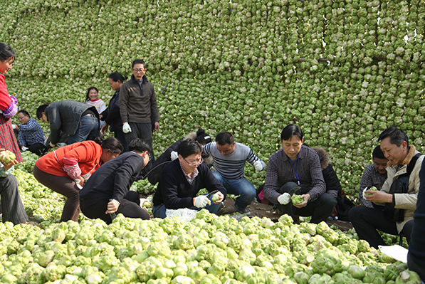 GA黄金甲(中国游)最新官方网站