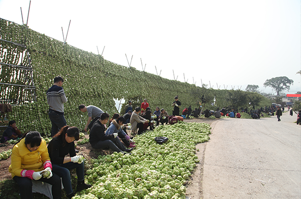 GA黄金甲(中国游)最新官方网站