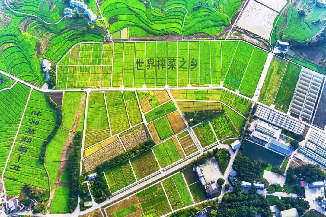 GA黄金甲(中国游)最新官方网站