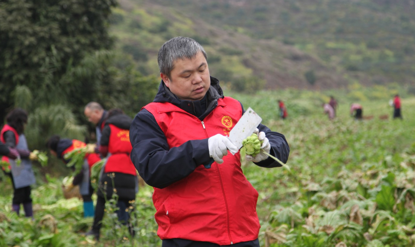GA黄金甲(中国游)最新官方网站