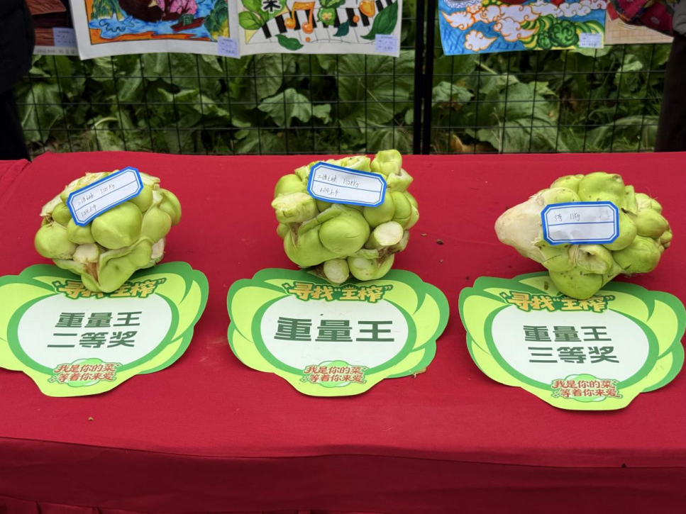 GA黄金甲(中国游)最新官方网站