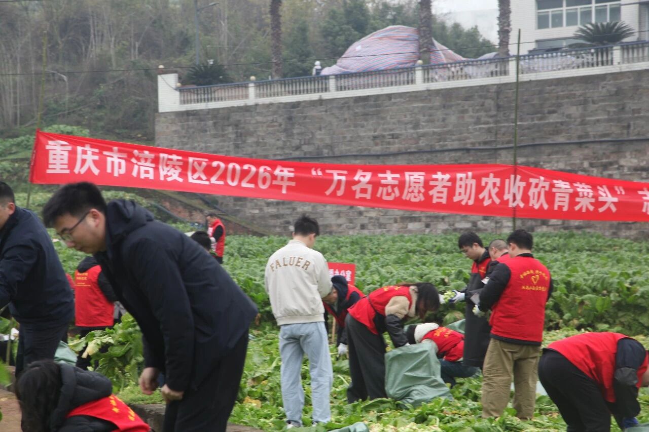 GA黄金甲(中国游)最新官方网站